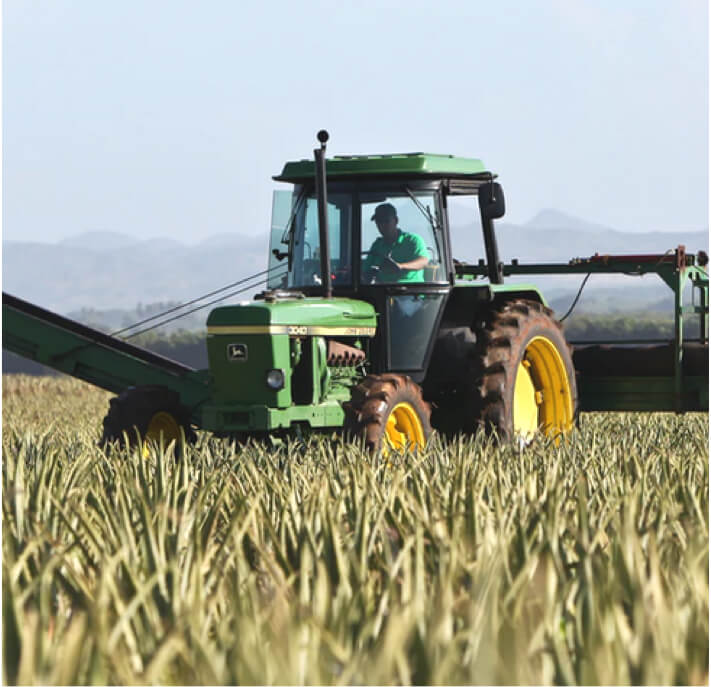 Tracteur dans un champ